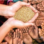 Support Ration Assistance for Widowed Elderly Women